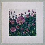 Garden Sketch Flowering Chives Limited Edition Prints - Drawing