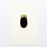 Harvest Eggplant Limited Edition Prints - Drawing
