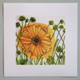 Garden Sketch Coreopsis Limited Edition Prints - Drawing