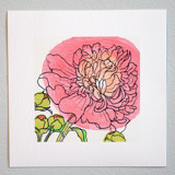 Garden Sketch Peony I Limited Edition Prints - Drawing