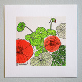 Garden Sketch Nasturtium Limited Edition Prints - Drawing