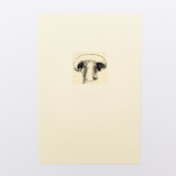 Harvest Mushroom Limited Edition Prints - Drawing