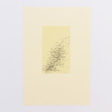 Crows over Cornfield Limited Edition Prints - Drawing