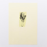 Harvest Leek Limited Edition Prints - Drawing