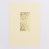Grasses Limited Edition Prints - Drawing