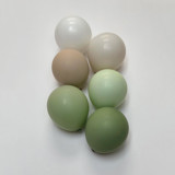 Sage Balloon Garland Premium Kit (8-10ft) Party Balloons