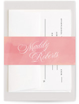 Summer Shower Bridal Shower Belly Bands