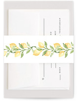 Market Bridal Shower Belly Bands