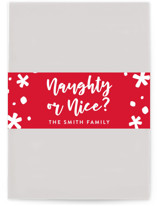 Dear Santa Holiday Belly Bands