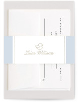 Baby Shower Belly Bands