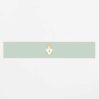 Lil Duck Baby Shower Belly Bands