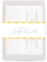 Daisy Chain Baby Shower Belly Bands