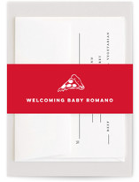 Special Delivery Pizza Baby Shower Belly Bands