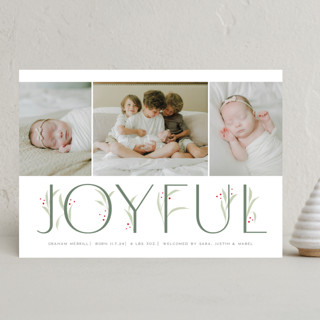 Winter Morning Holiday Birth Announcements