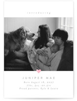 Love Bug Foil-Pressed Birth Announcements