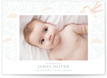 Stork Delivery Grand Birth Announcements