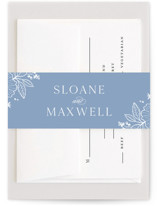 Wild Roses Belly Bands