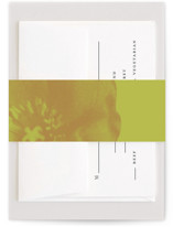 Maximalist Poppies Belly Bands