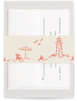 Kitty Hawk Belly Bands