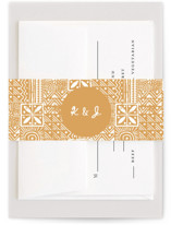 Tribal Rythm Belly Bands