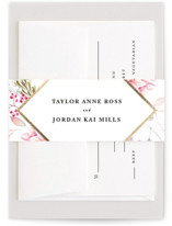 Ascent Foil-Pressed Belly Bands