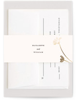 Circlet Foil-Pressed Belly Bands