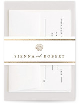 By the Seashore Foil-Pressed Belly Bands