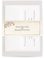 Story Book Foil-Pressed Belly Bands