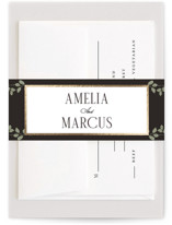 Foil-Pressed Belly Bands