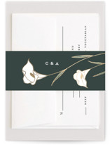 Foil-Pressed Belly Bands