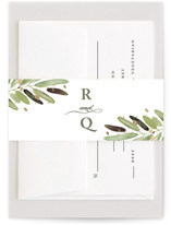 Al Fresco Foil-Pressed Belly Bands