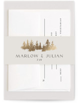 Vista Foil-Pressed Belly Bands