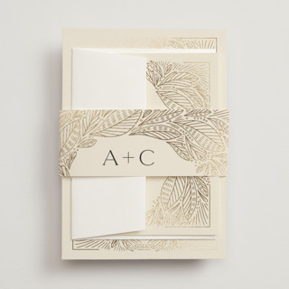 Royalty Foil-Pressed Belly Bands