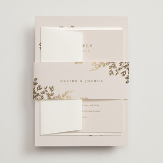 Classique Foil-Pressed Belly Bands