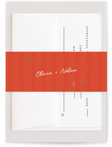 Party On! Foil-Pressed Belly Bands