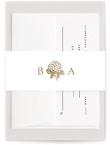 Foil-Pressed Belly Bands