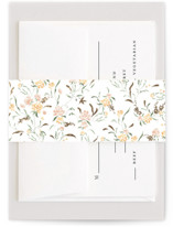 Foil-Pressed Belly Bands