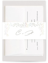 Clarity Gloss-Press® Belly Bands