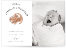 Petite Birth Announcements