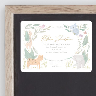 Safari kid Birth Announcement Magnets