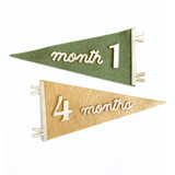 Custom Color - Pennant Flag Milestone Set Baby Milestone Signs