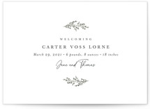 Birth Announcement Postcards