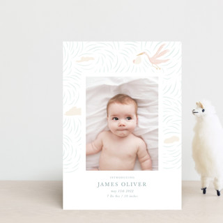 Stork Delivery Birth Announcement Postcards