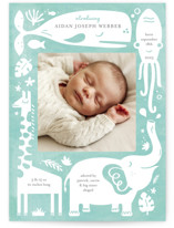 Birth Announcement Postcards
