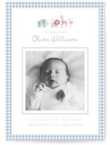 Sweet Safari Birth Announcement Photo Mount Cards
