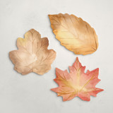 Harvest (set of 12) Place Card Sets
