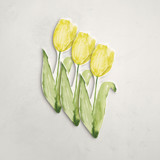 Amalfi Stem (set of 12) Place Card Sets