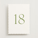 Perriand Moss (set of 20) Boxed Table Numbers