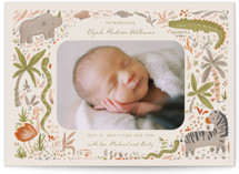 Hello Safari Birth Announcements