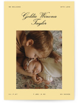 Goldie Birth Announcements